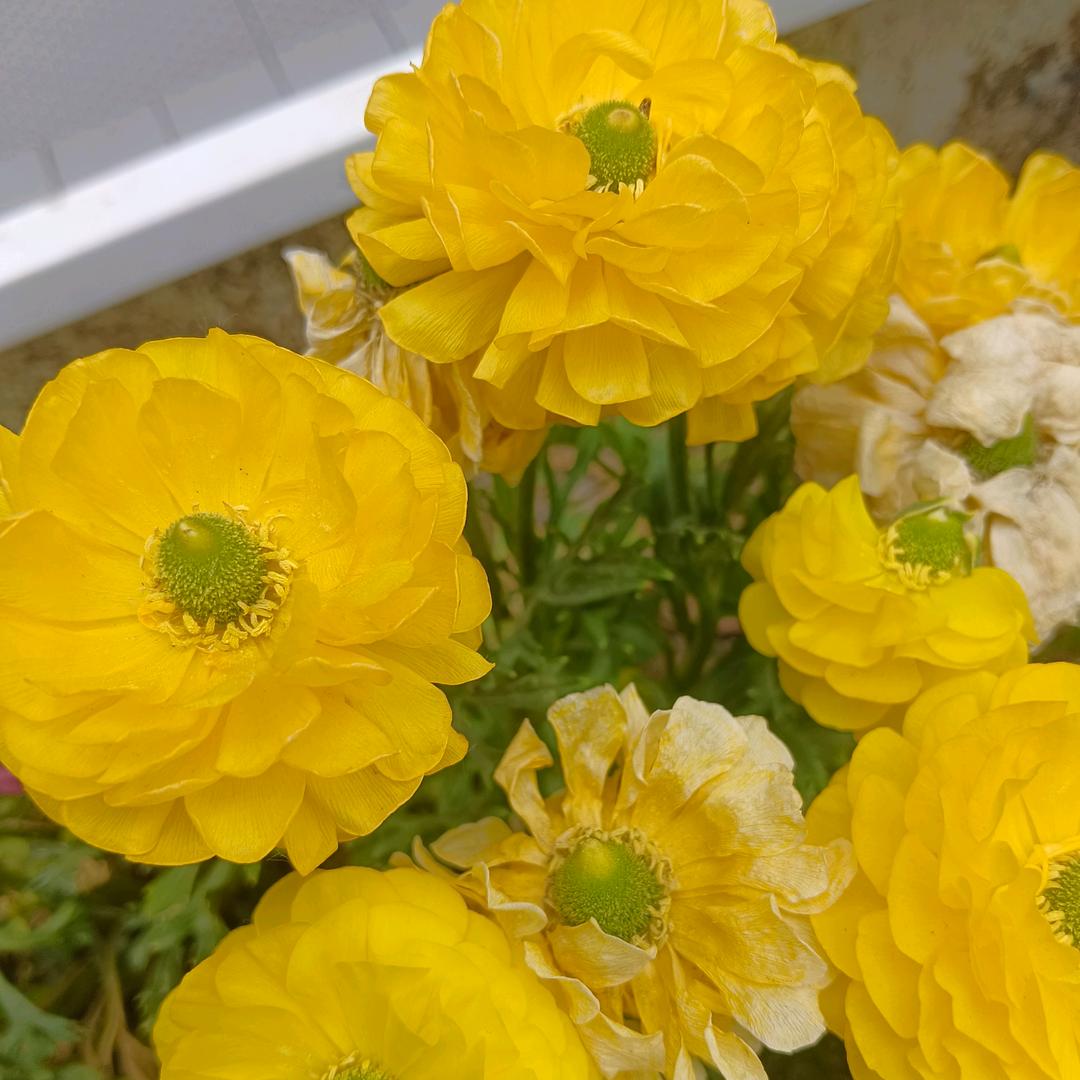 詯の吢、伤ㄋ╰☆