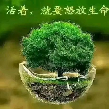 ོꦿ情话动心弦ོ