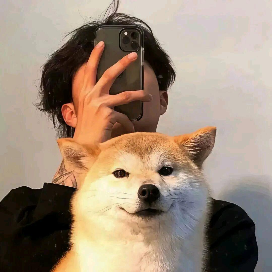 彬彬有李✨