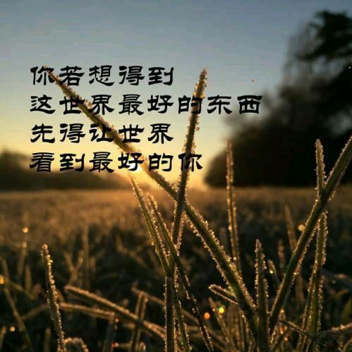 一念