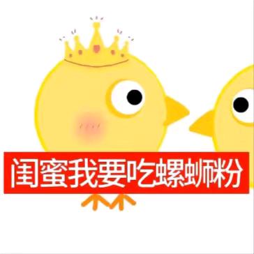 手抓猫饼