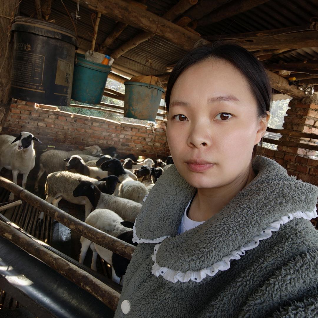 @绿色养殖——周老师