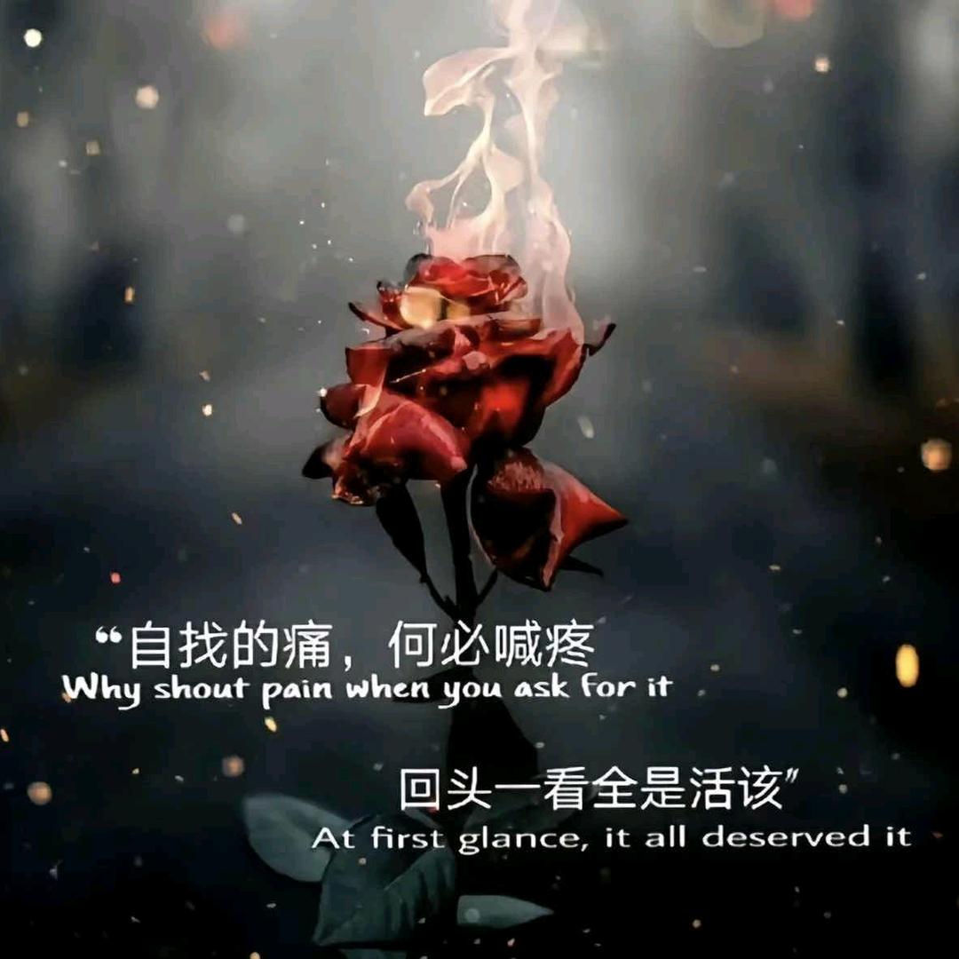 ૮₍◜ෆ◝.₎ა自 渡 自