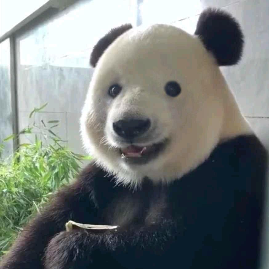 Veethus头像