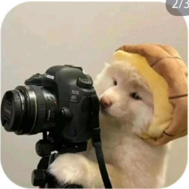 明月何念📷