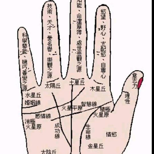 手相与婚姻