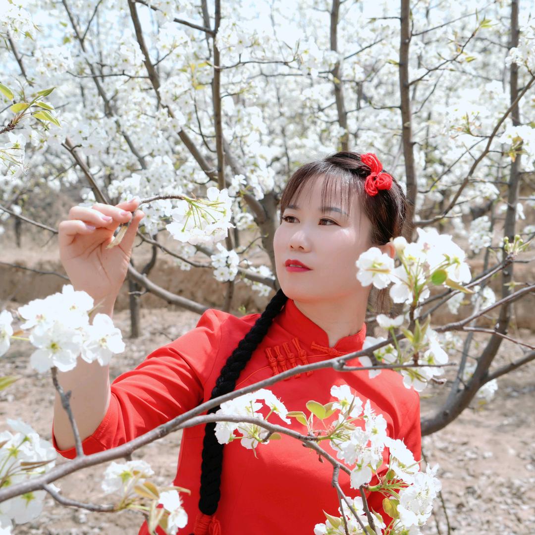 淘宝儿