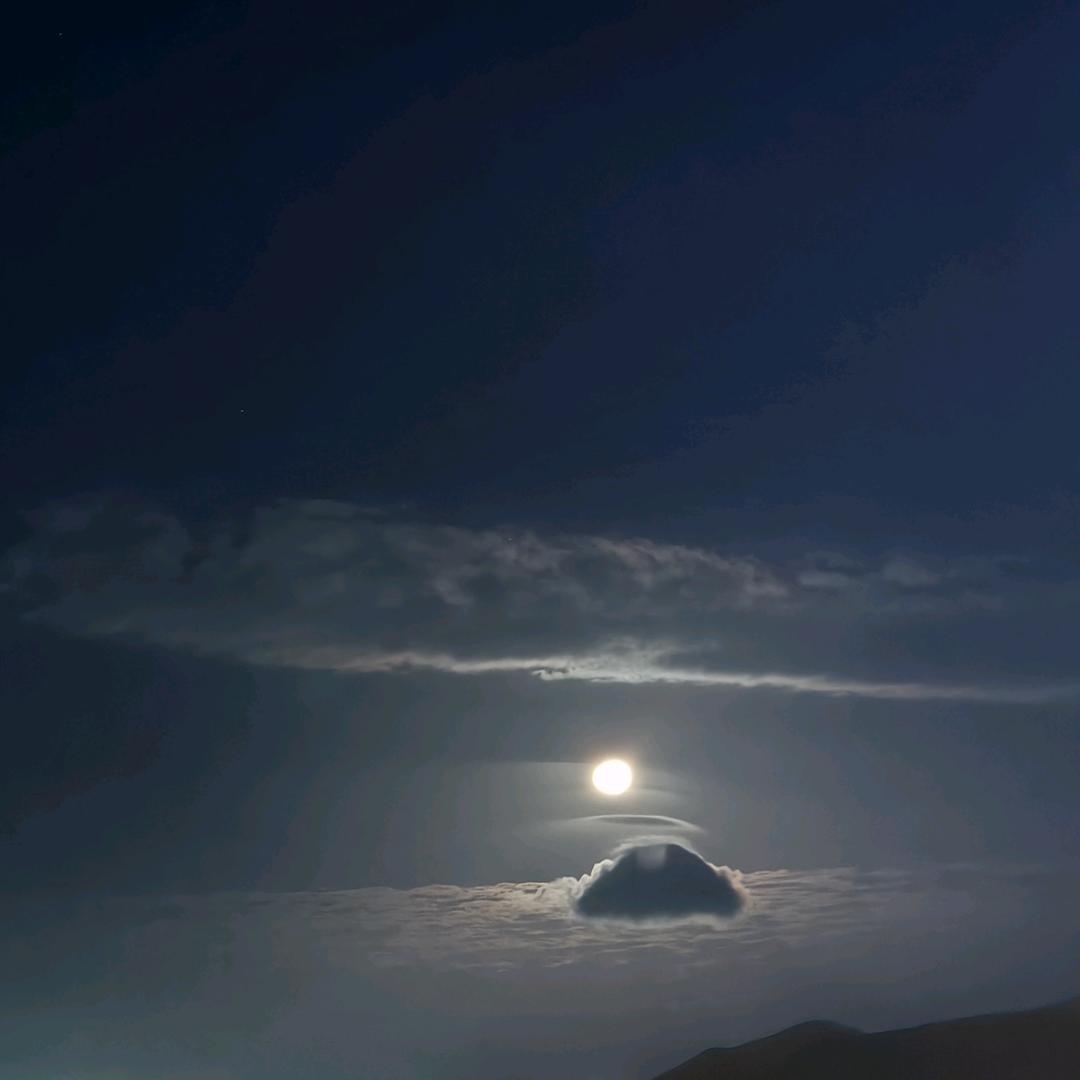 旅游咨询龙哥