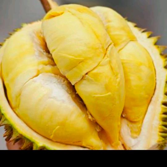 超哥榴莲(南站乐园店)