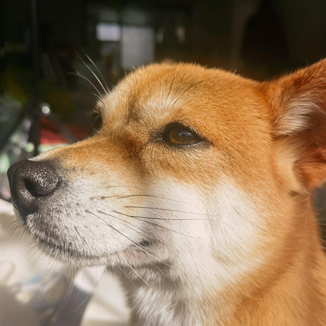 萱妈