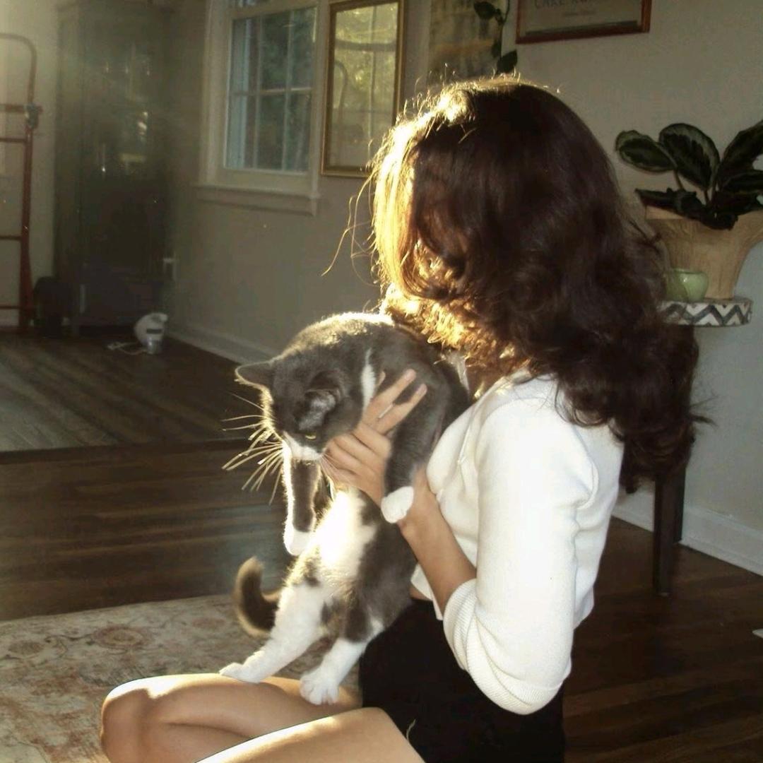 太平公主🪓（已有闺）