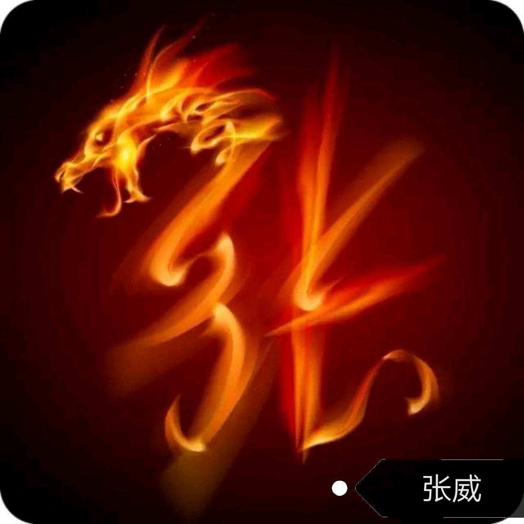 张威🐉（滴滴杰出钻石队长）