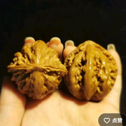品核轩楸核