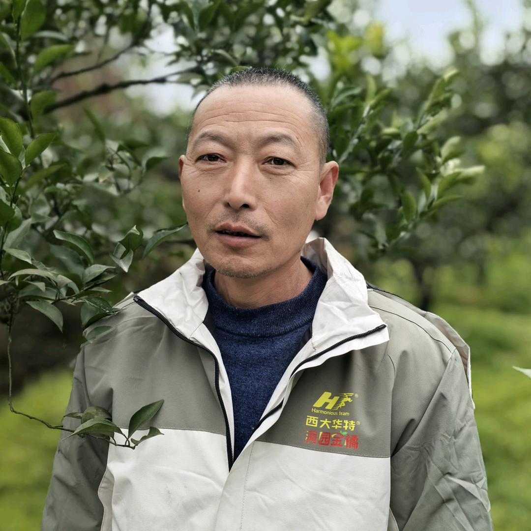 李老师讲柑橘