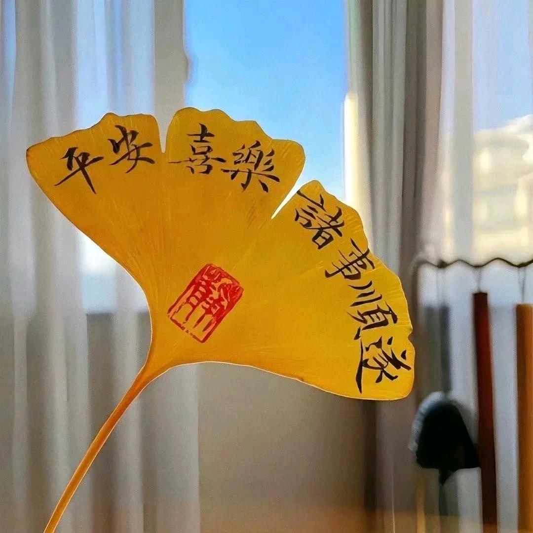 沐光前行