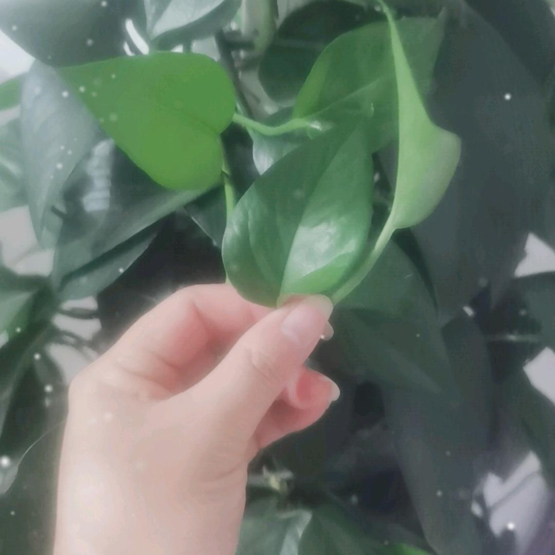 偌雪🌨️