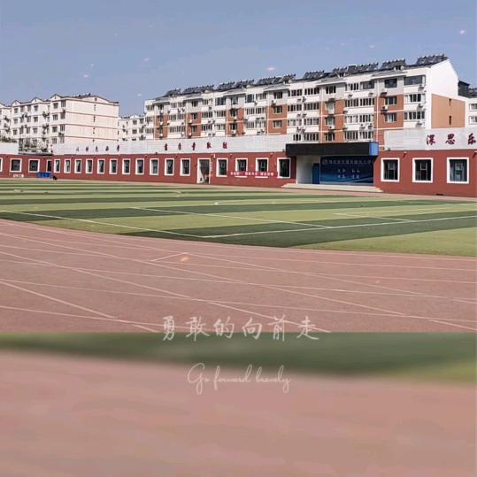 葱姜蒜沫儿