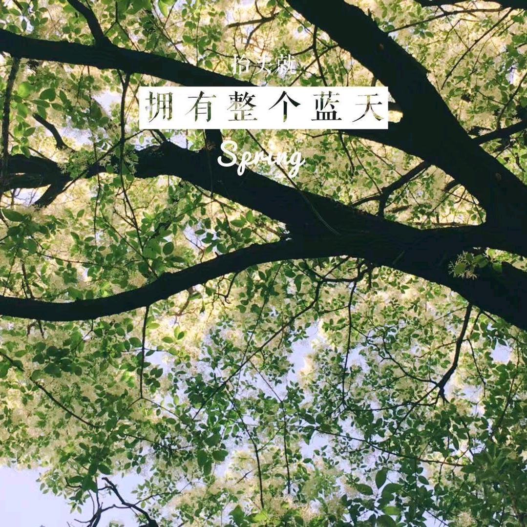 济宁卡车小文
