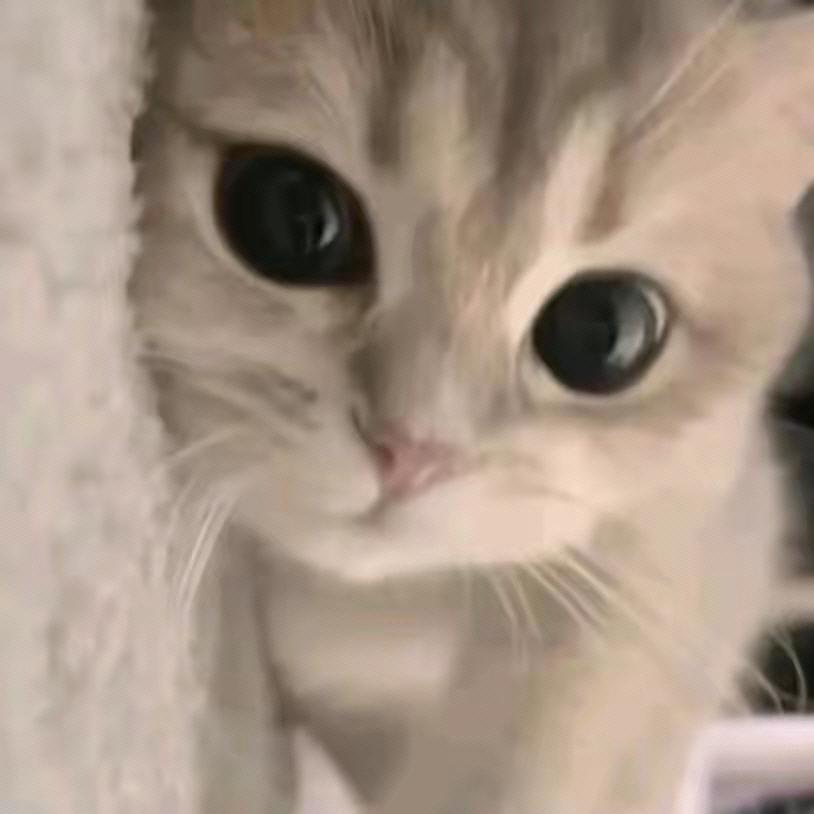 程——青灯不归客