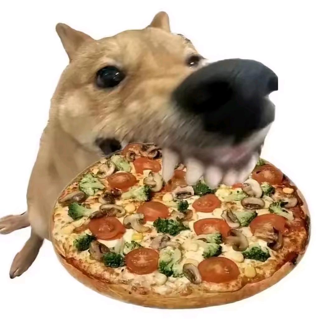 娴大王