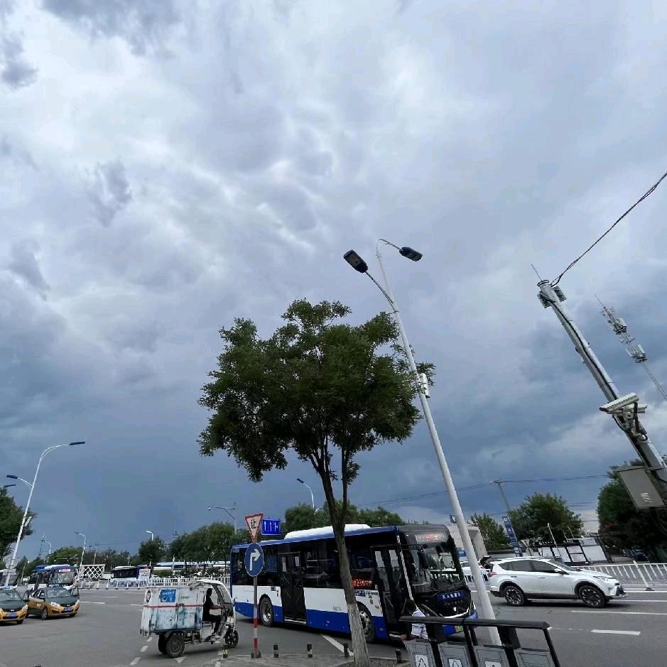 睡觉呼噜噜💤💤💤