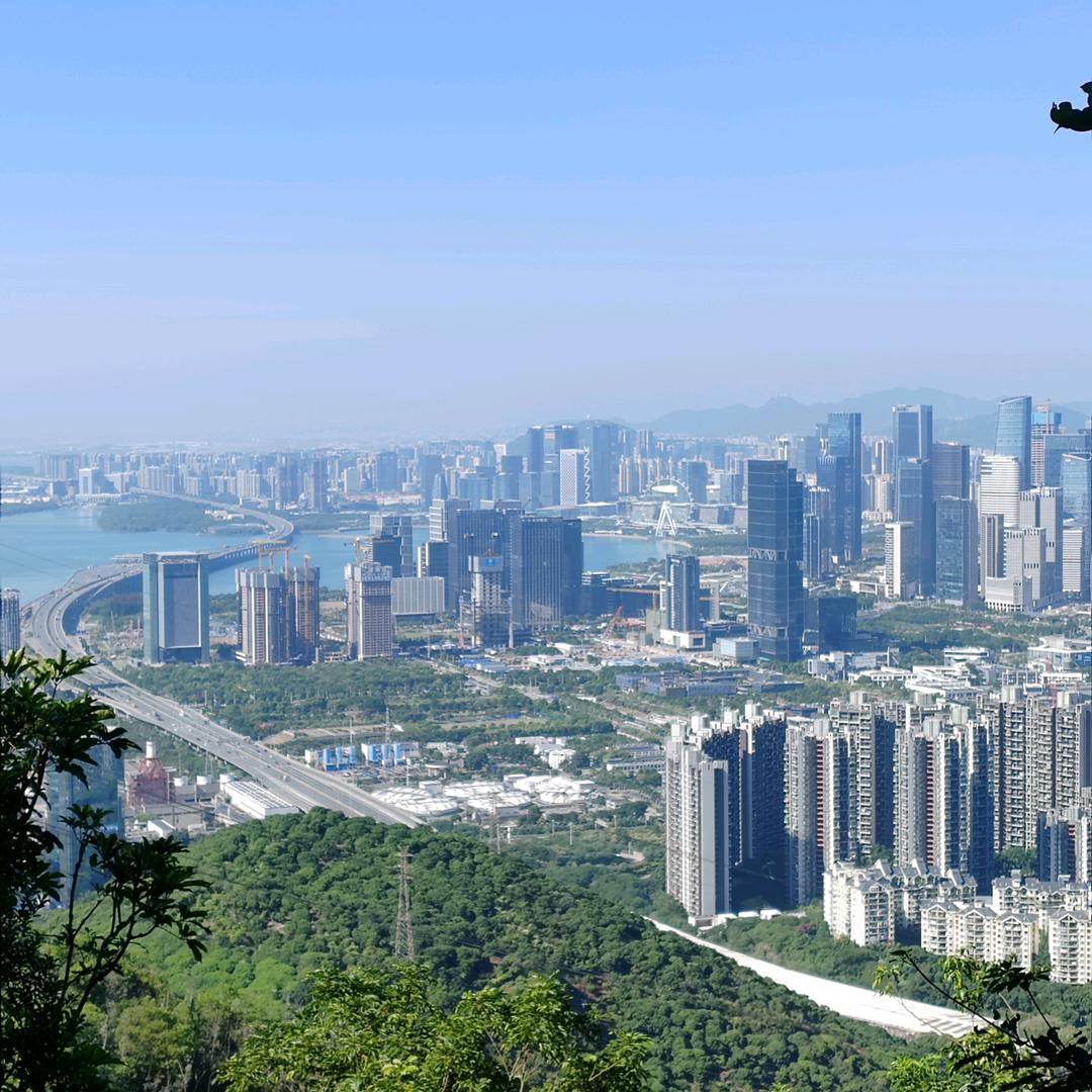 🐝球¹¹⁹⁸🍀