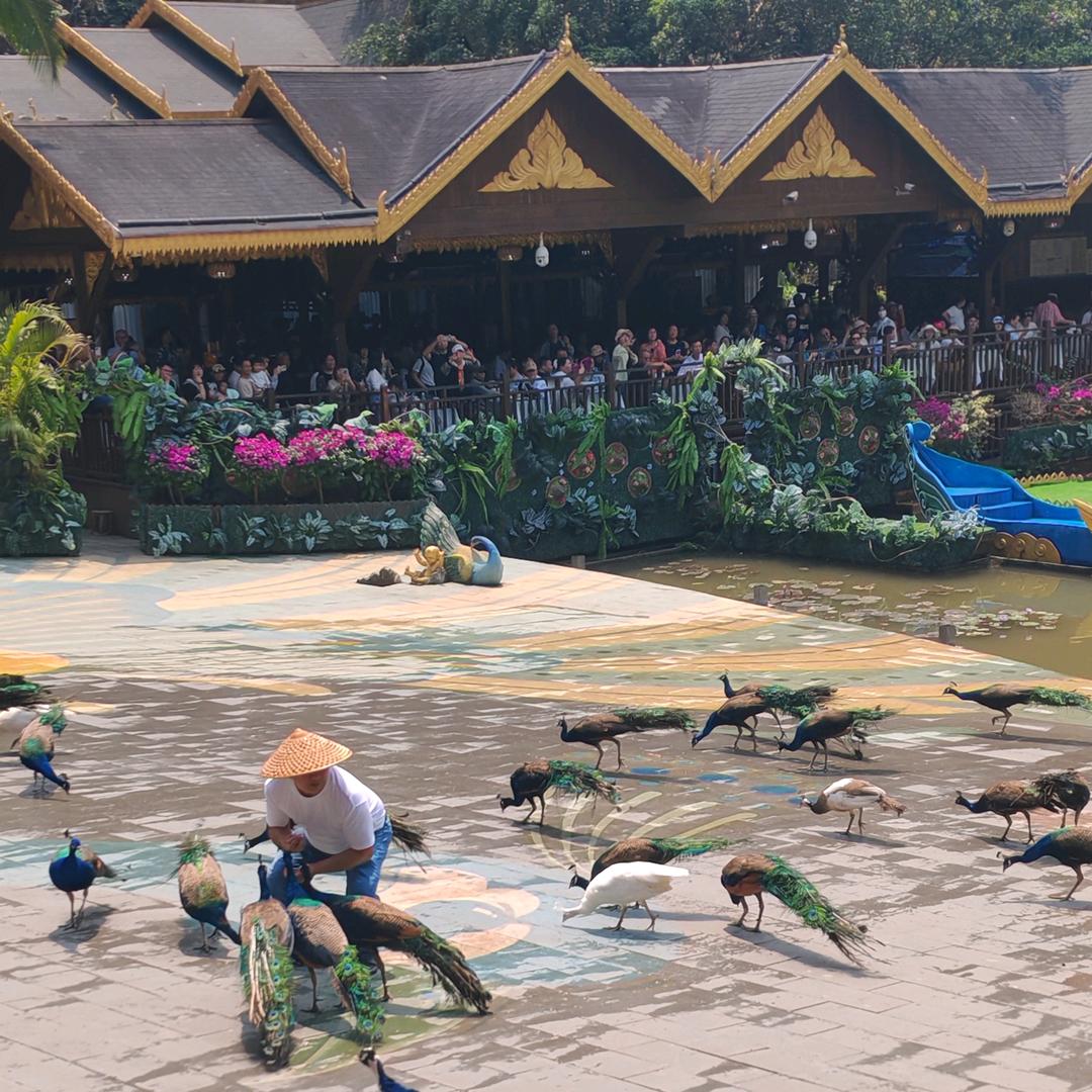 💦💦安然🌊🌊