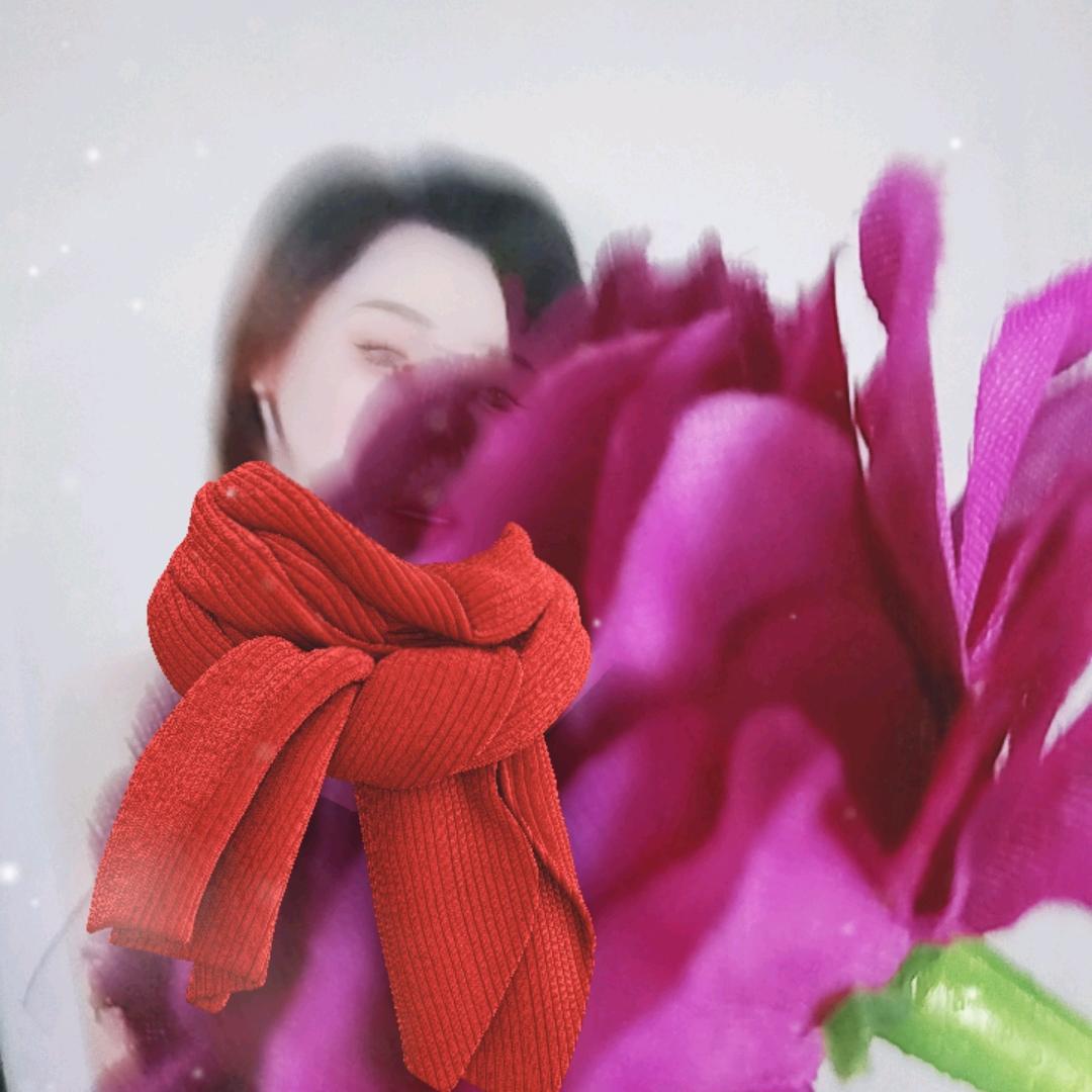 爱你没商量（停播-）