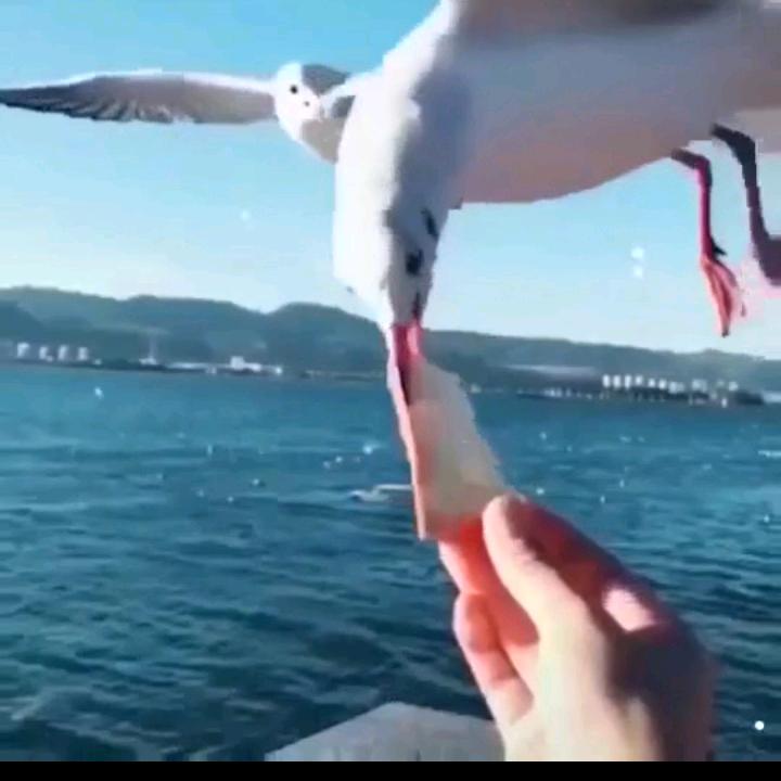 那年冬天的风，还有你