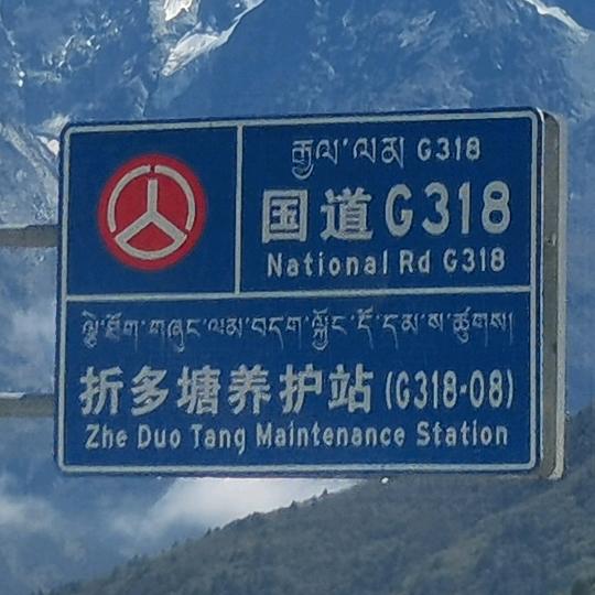 双桥驾校、罗教练