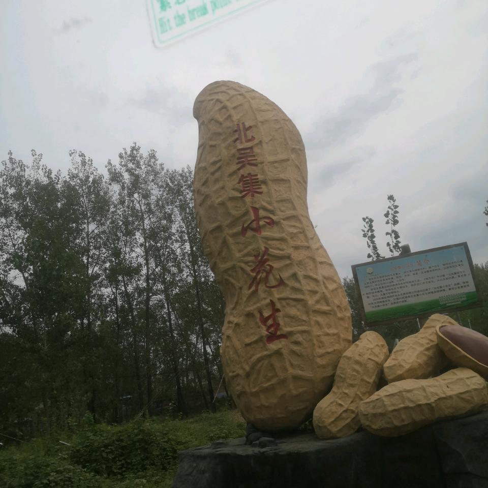 天之兰
