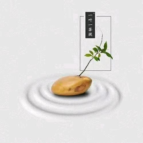 一点墨