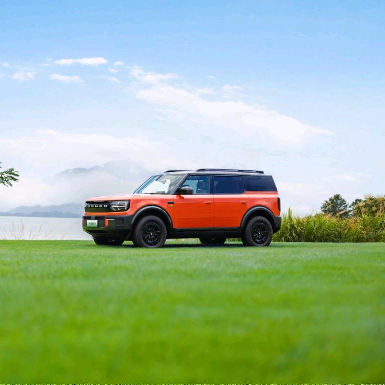 贵州友福-智趣烈马