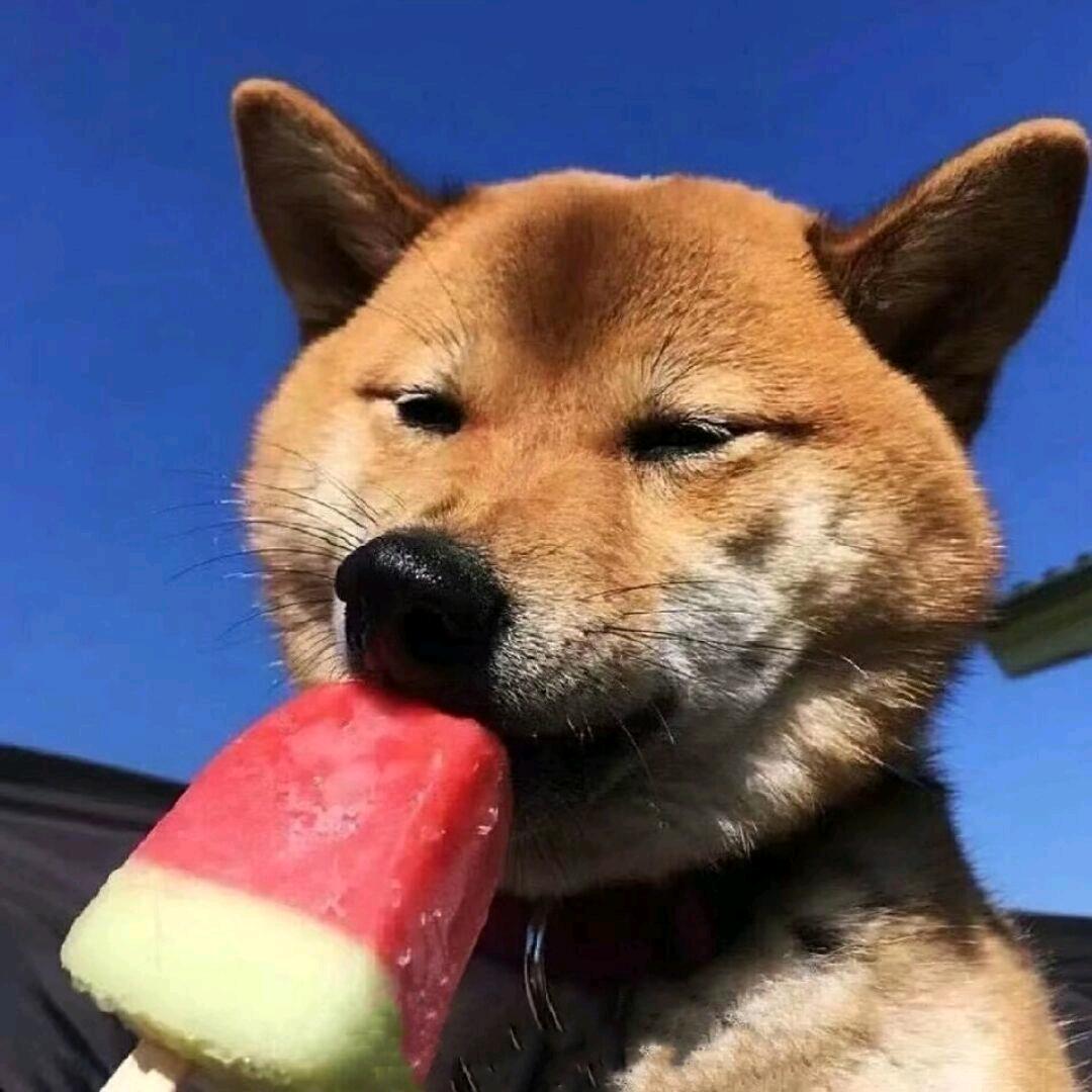 游手好闲的李大人