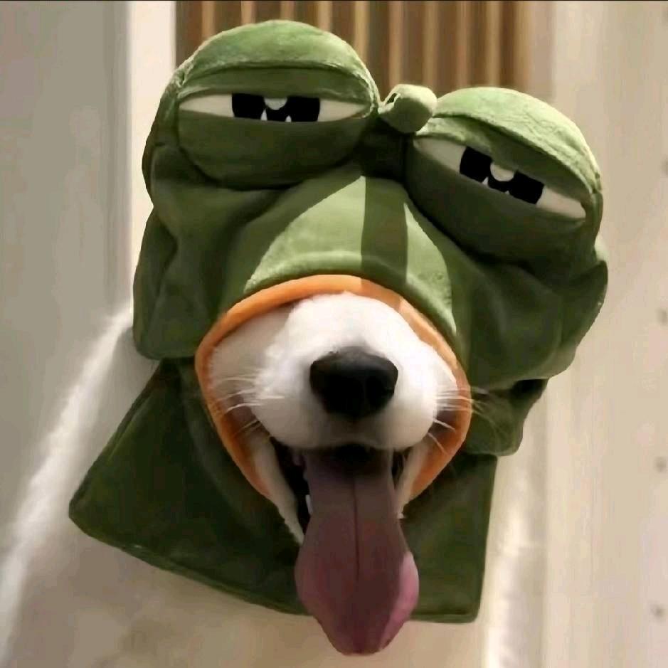 飞去美国搞诈骗