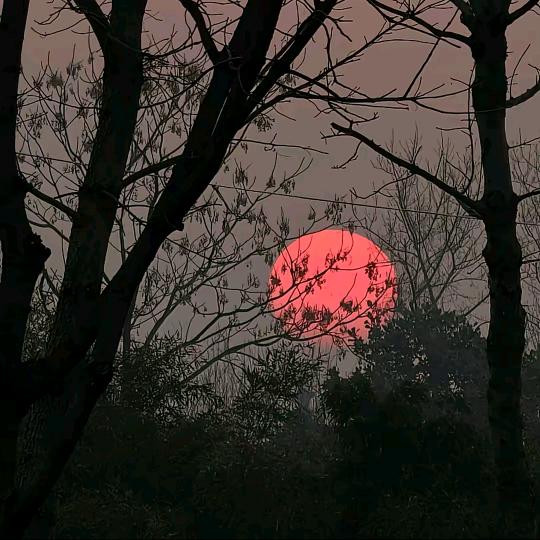 62128749016