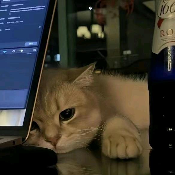 ・沐宸゛（和平精英）