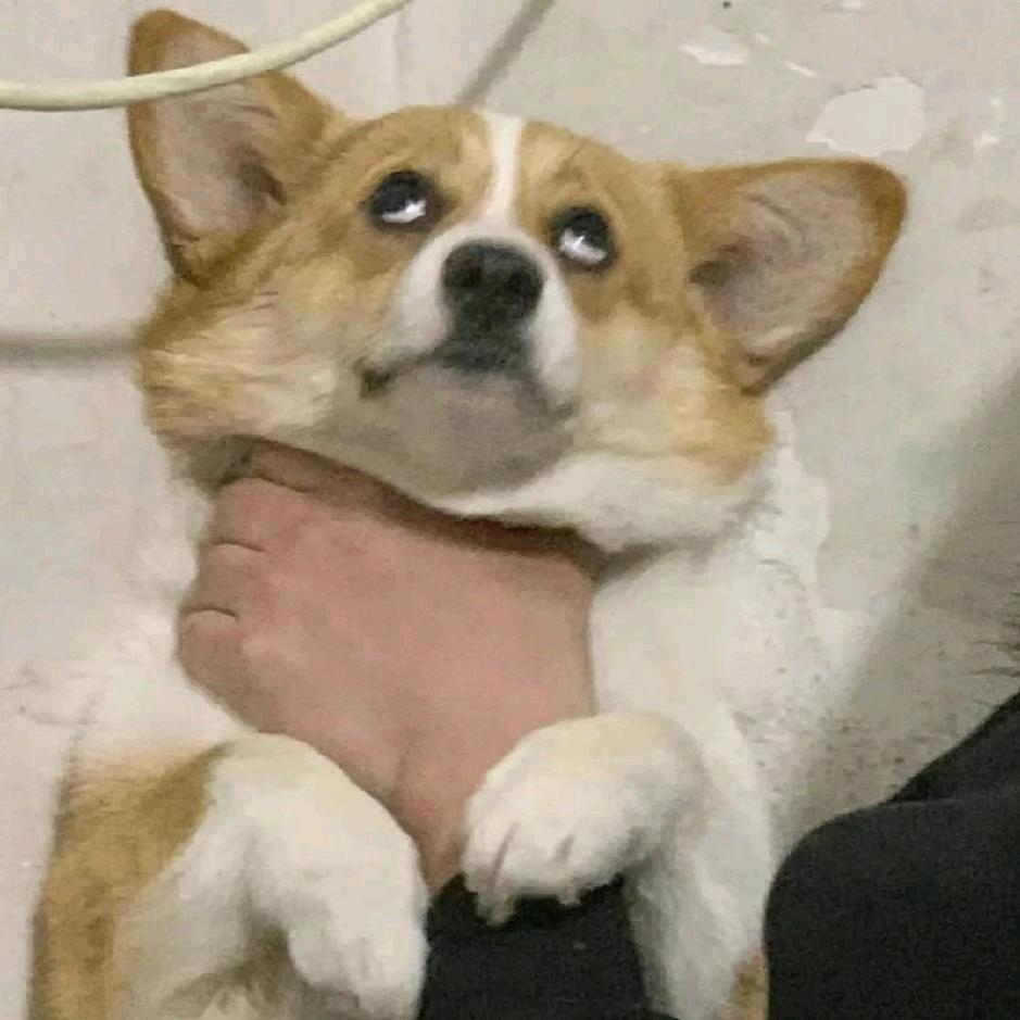 马孔多在下雨