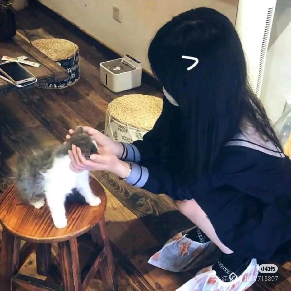 呆酱