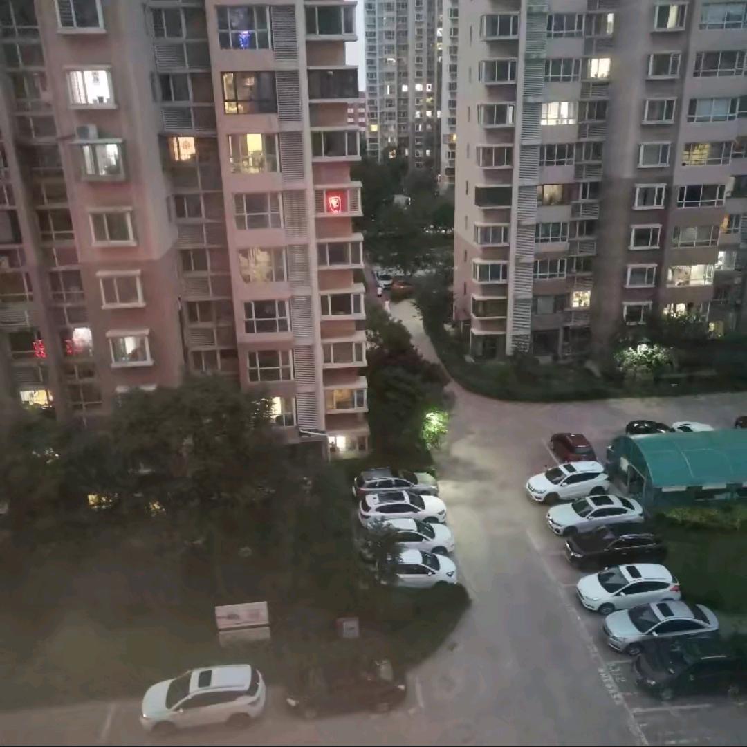 兰竹045
