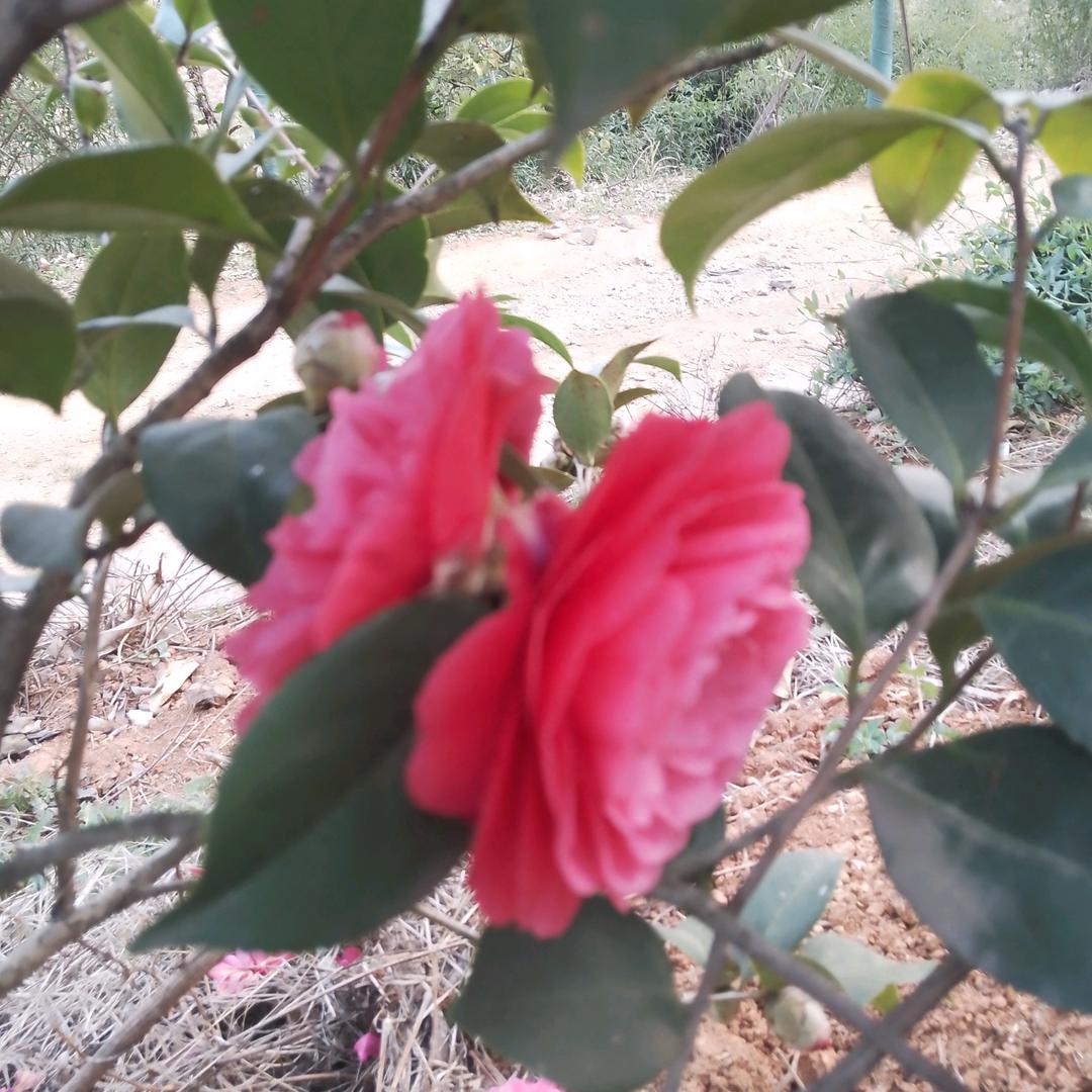 来生不在错过你