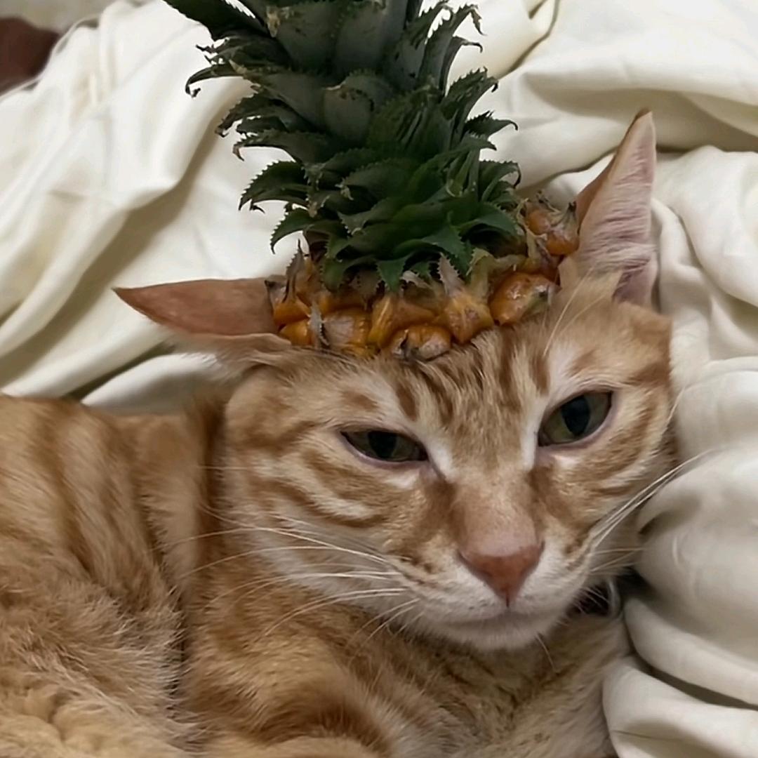 如果