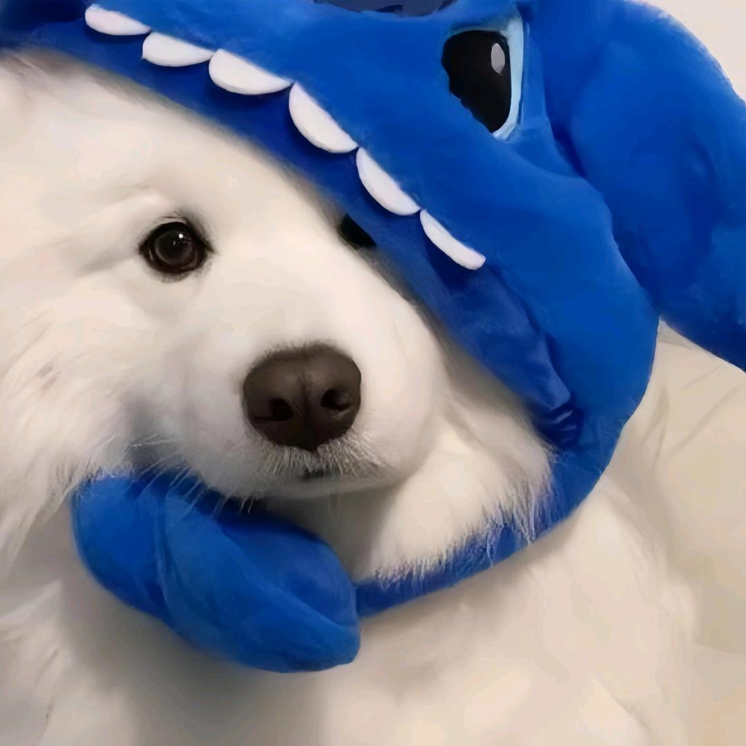 是落不是洛