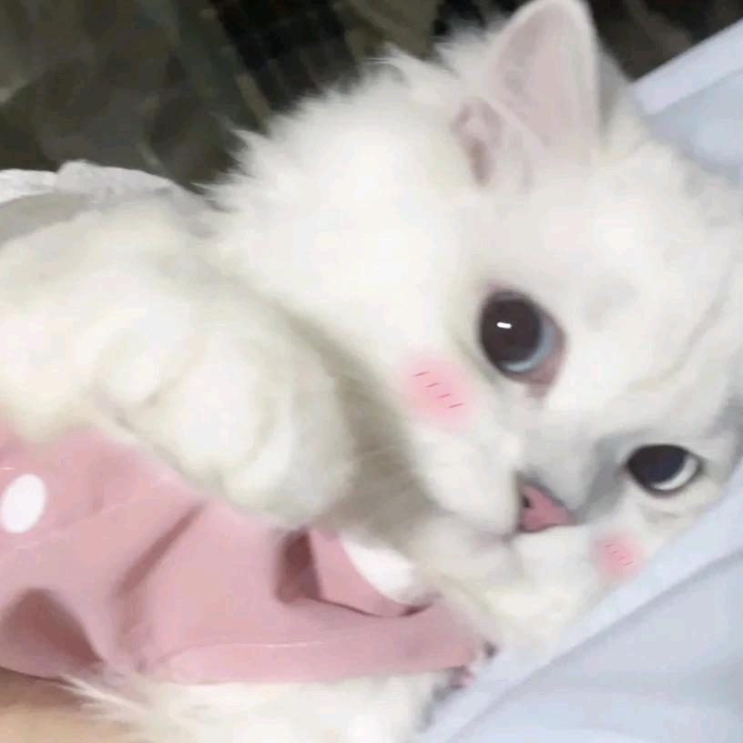 姜之