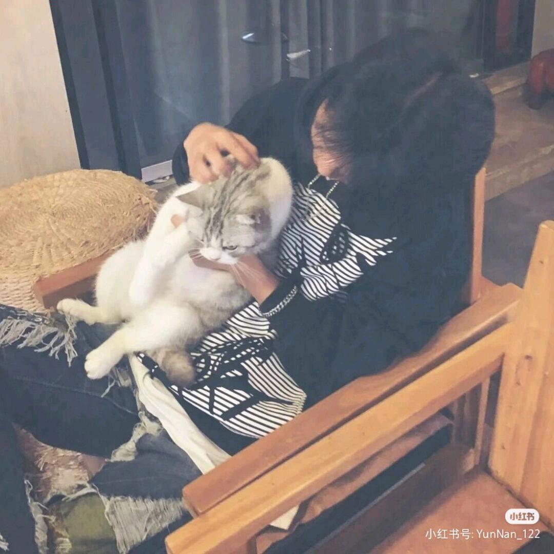 不要蜡笔要小新