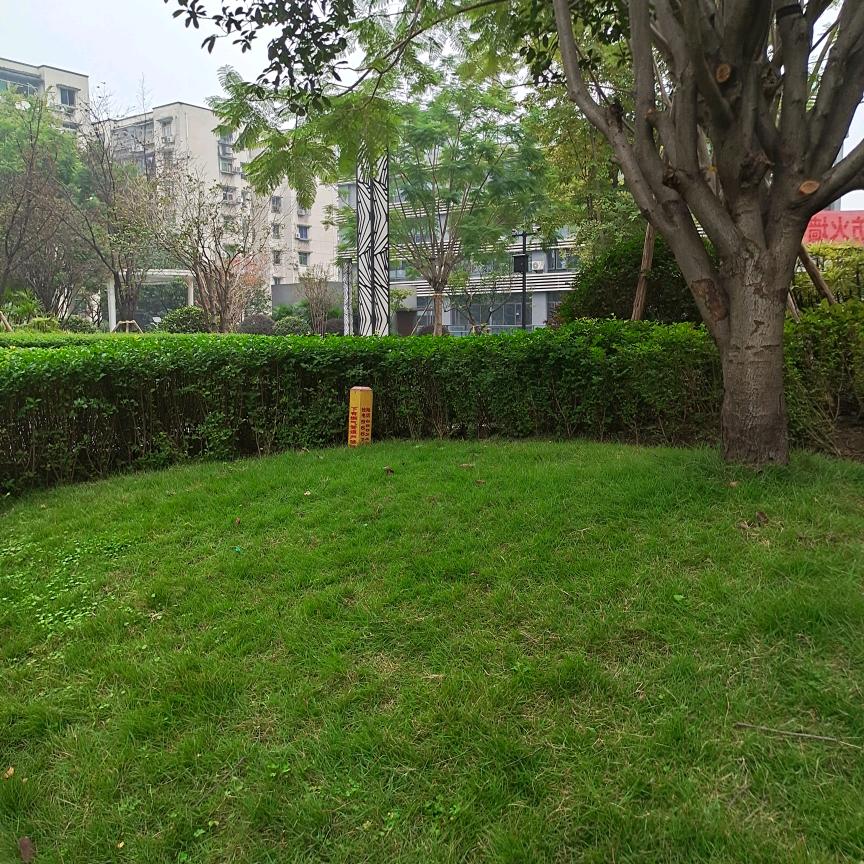 试漪