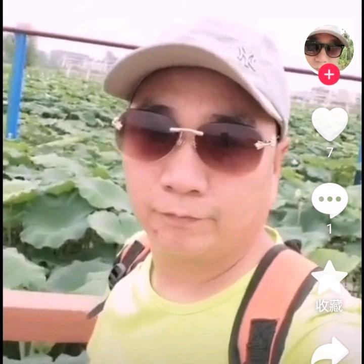 疏通下水道马桶，燃气灶修理，家电维修清洗