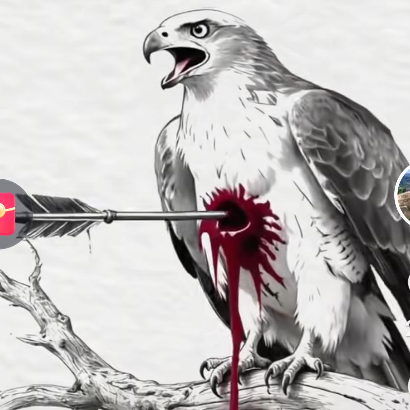 寂寞的心❤️❤️❤️❤️