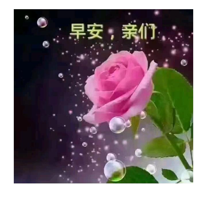 熊熊panda