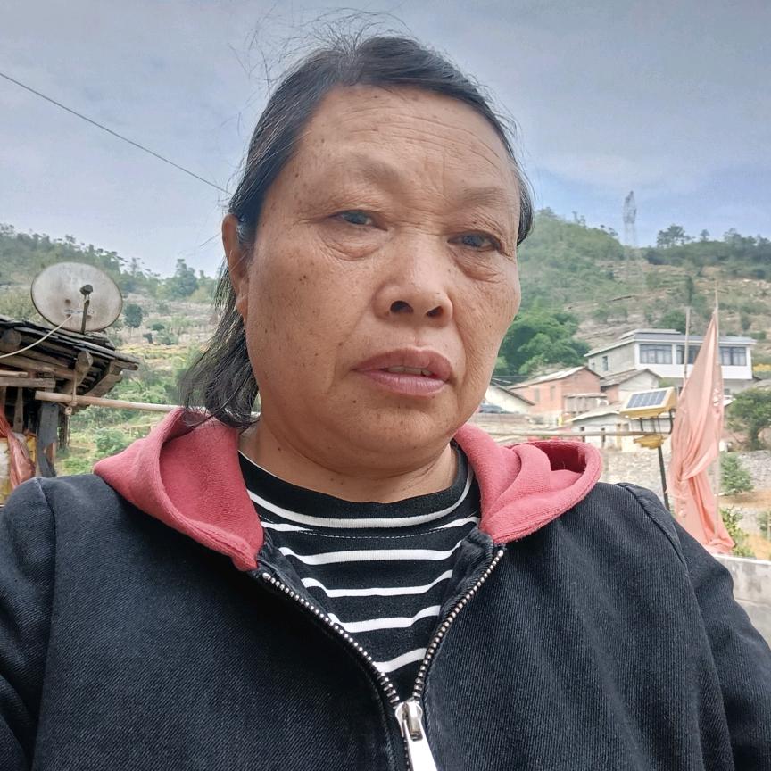 龙三姐